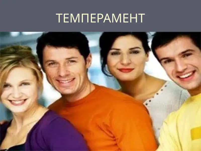 Темперамент
