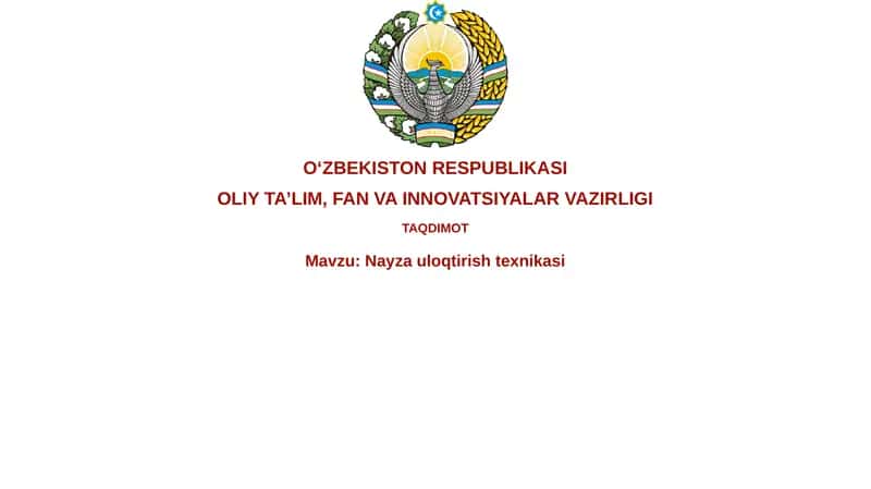 Nayzauloqtirishtexnikasi