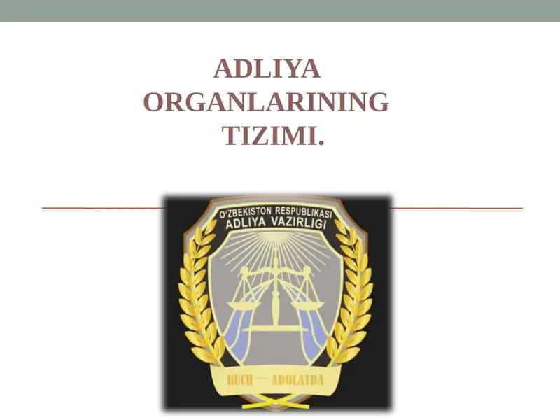 ADLIYA ORGANLARINING TIZIMI