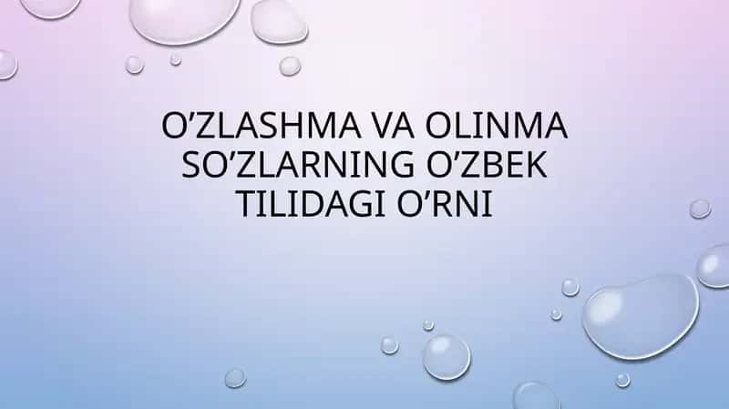 O’ZLASHMA VA OLINMA SO’ZLARNING O’ZBEK TILIDAGI O’RNI