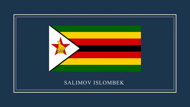 ZIMBABVE DAVLATI ISHLAB CHIQARISH OMILLARI HARAKATINING IQTISODIYOTIGA TA'SIRI TAHLILI