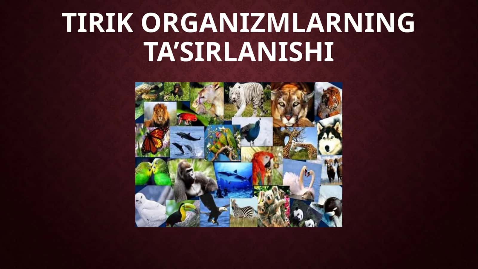 TIRIK ORGANIZMLARNING TA’SIRLANISHI