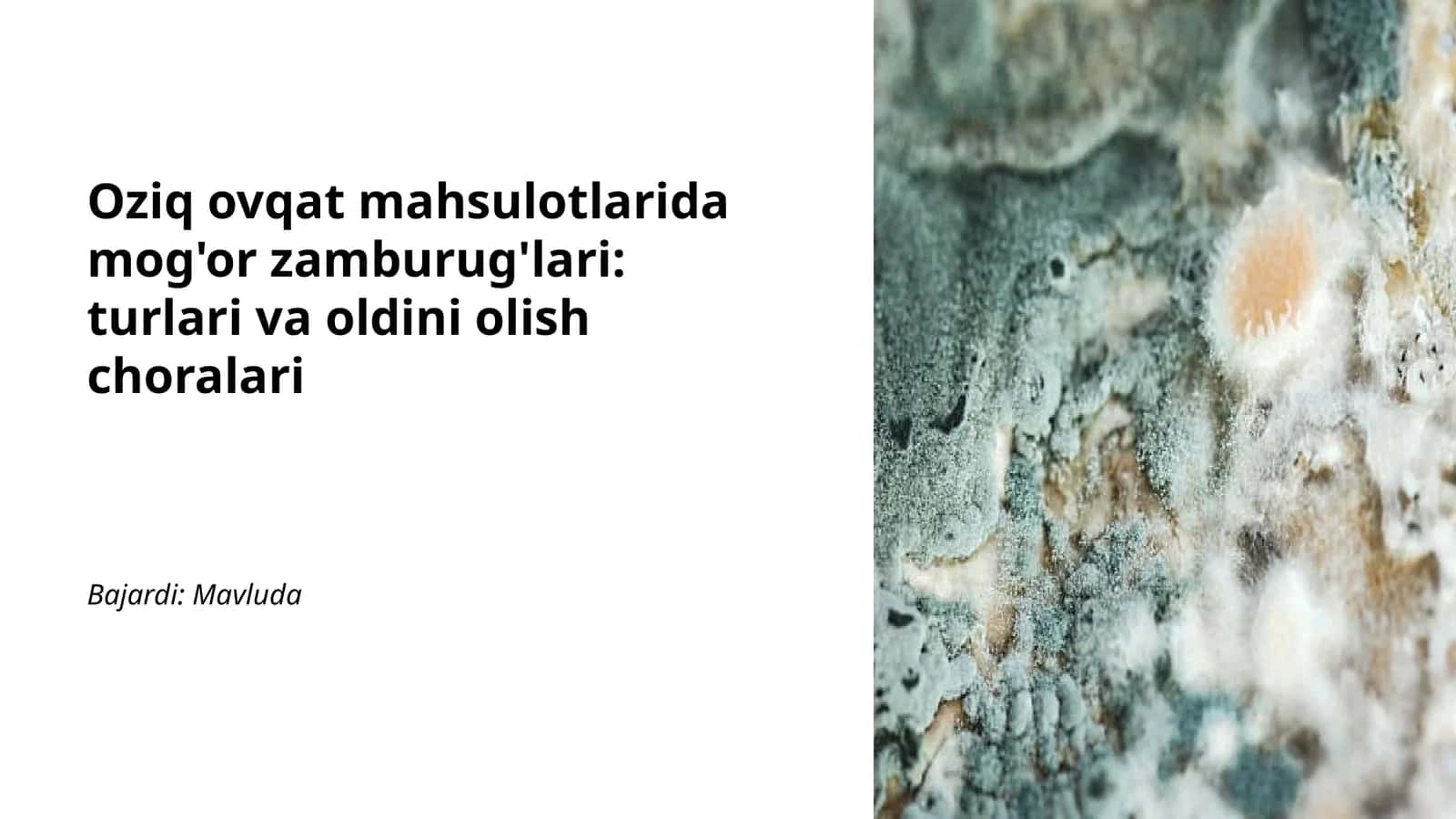 Mog'or zamburug'lari: turlari va oldini olish choralari