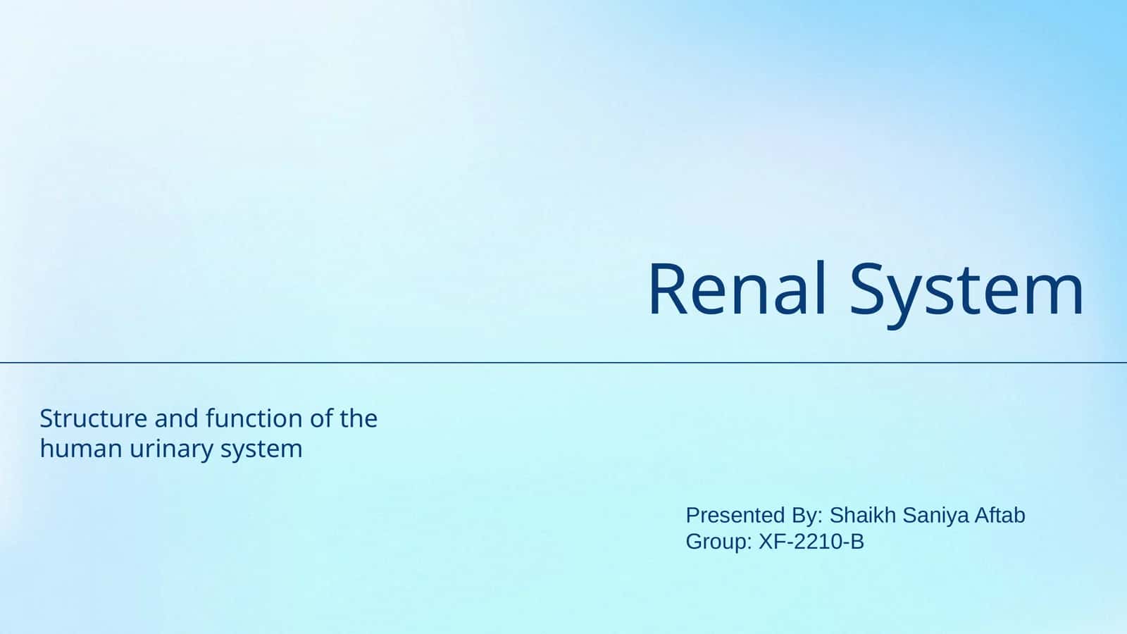 Renal System