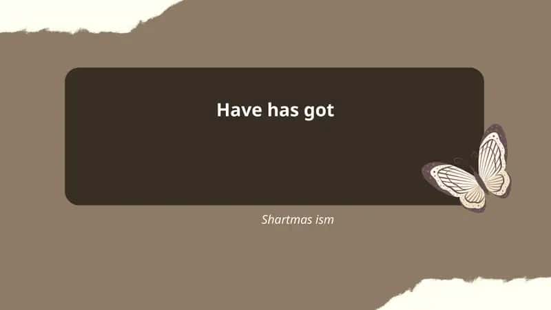 Affirmative Forms of Have and Has Got