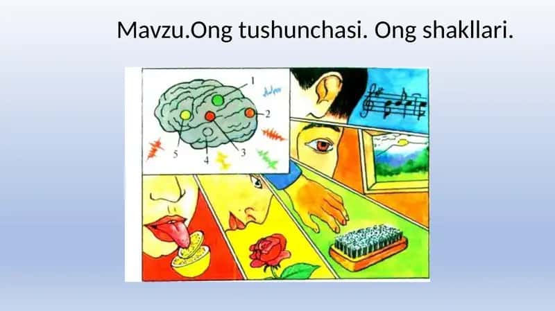 Ong tushunchasi va shakllari