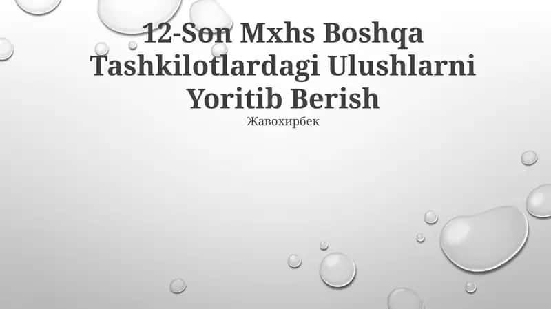 12-Son Mxhs Boshqa Tashkilotlardagi Ulushlarni Yoritib Berish