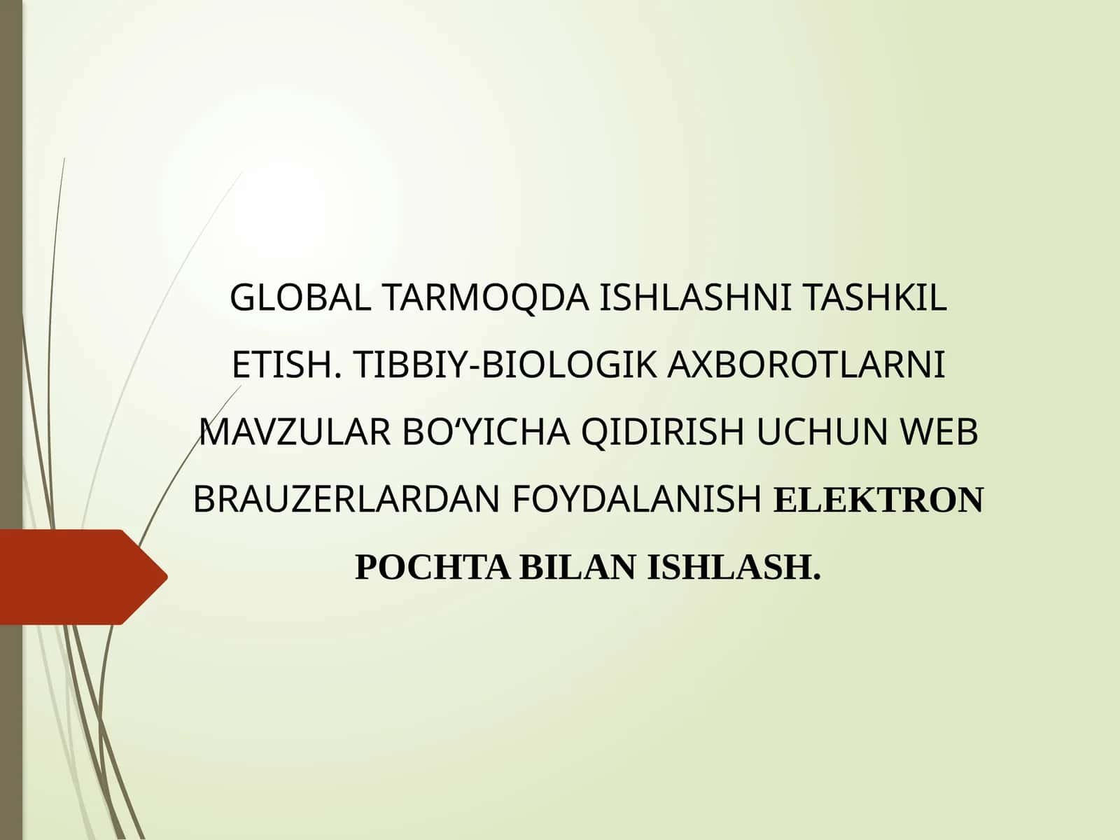 GLOBAL TARMOQDA ISHLASHNI TASHKIL ETISH