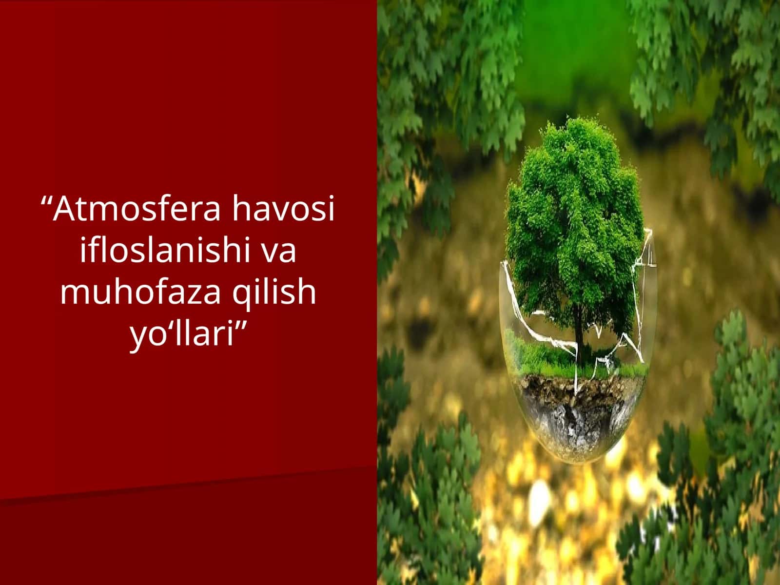 Atmosfera havosi ifloslanishi va muhofaza qilish yo‘llari