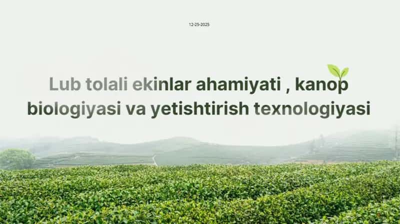 Lub tolali ekinlar ahamiyati, kanop biologiyasi va yetishtirish texnologiyasi