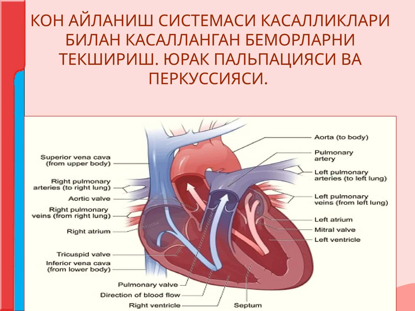 КОН АЙЛАНИШ СИСТЕМАСИ КАСАЛЛИКЛАРИ БИЛАН КАСАЛЛАНГАН БЕМОРЛАРНИ ТЕКШИРИШ.