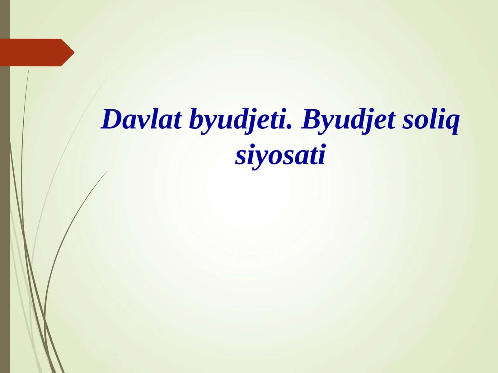 Davlat byudjeti. Byudjet soliq siyosati