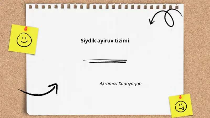 Siydik ayiruv tizimi