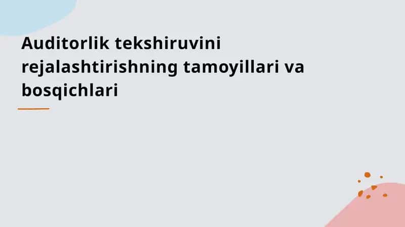 Auditorlik tekshiruvini rejalashtirishning tamoyillari va bosqichlari