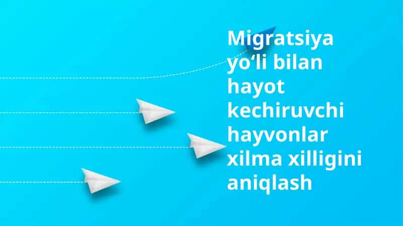Migratsiya yoʻli bilan hayot kechiruvchi hayvonlar xilma xilligini aniqlash