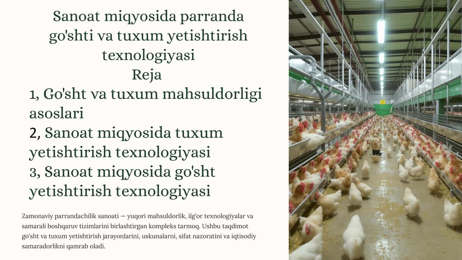 Sanoat miqyosida parranda go'shti va tuxumyetishtirishtexnologiyasi