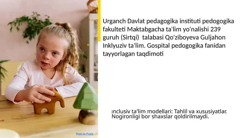 Inclusiv ta'lim modellari: Tahlil va xususiyatlar
