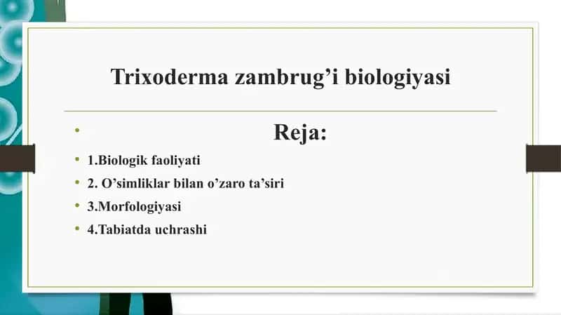 Trixoderma zambrug’i biologiyasi