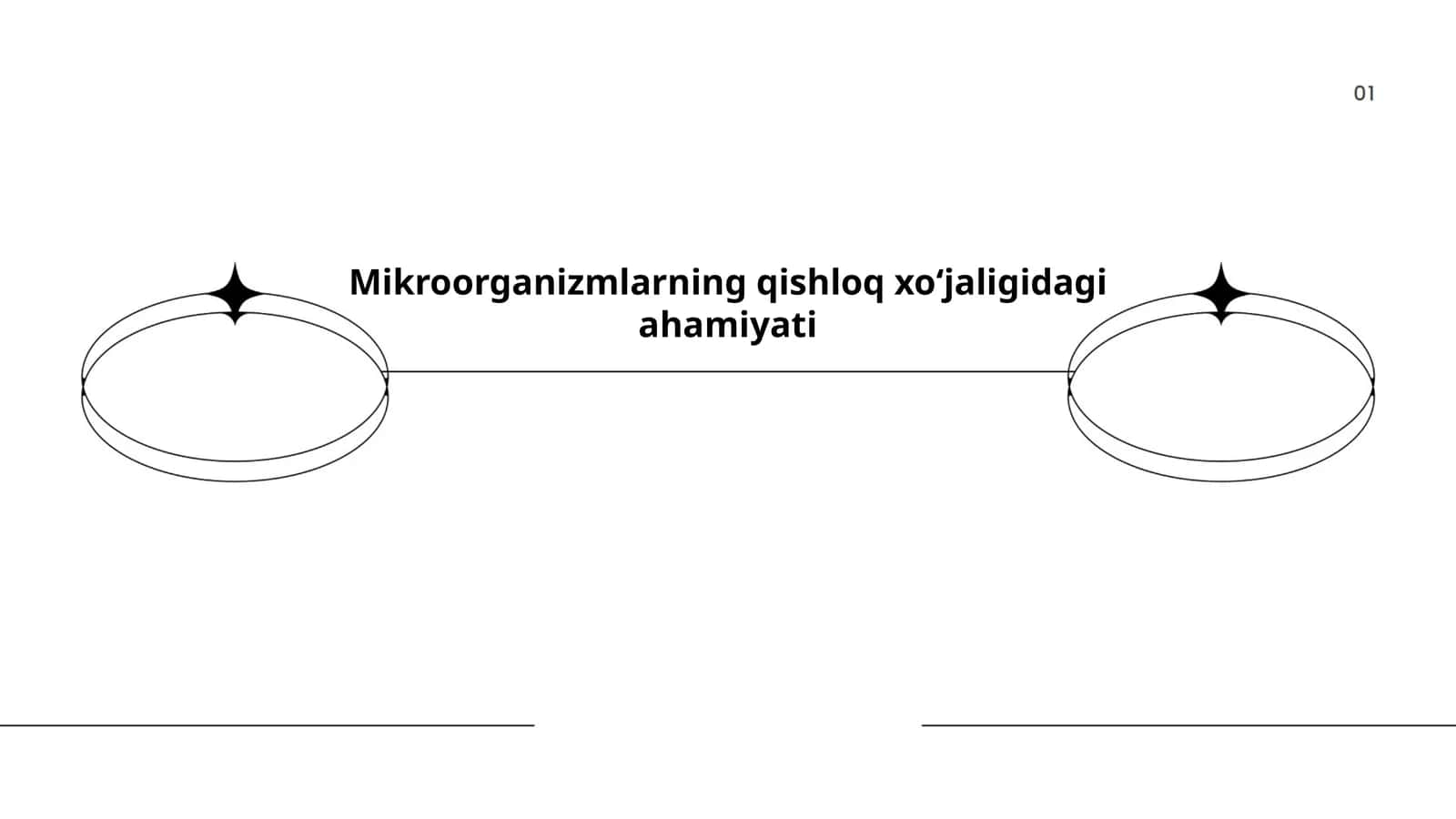 Mikroorganizmlarning qishloq xoʻjaligidagi ahamiyati