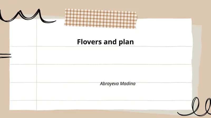 Flovers and plan