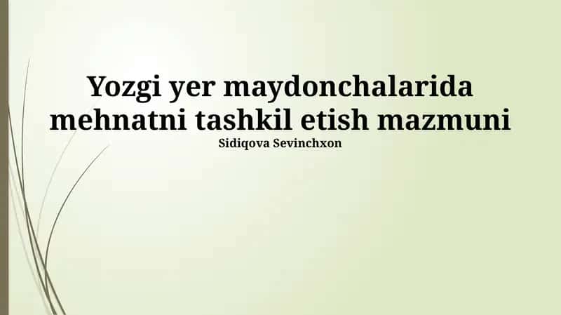 Yozgi yer maydonchalarida mehnatni tashkil etish mazmuni