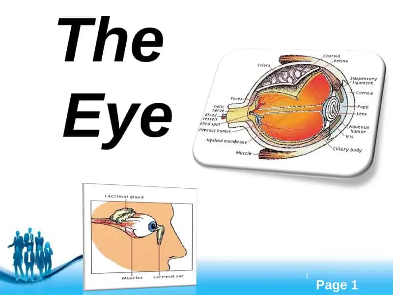 TheEye