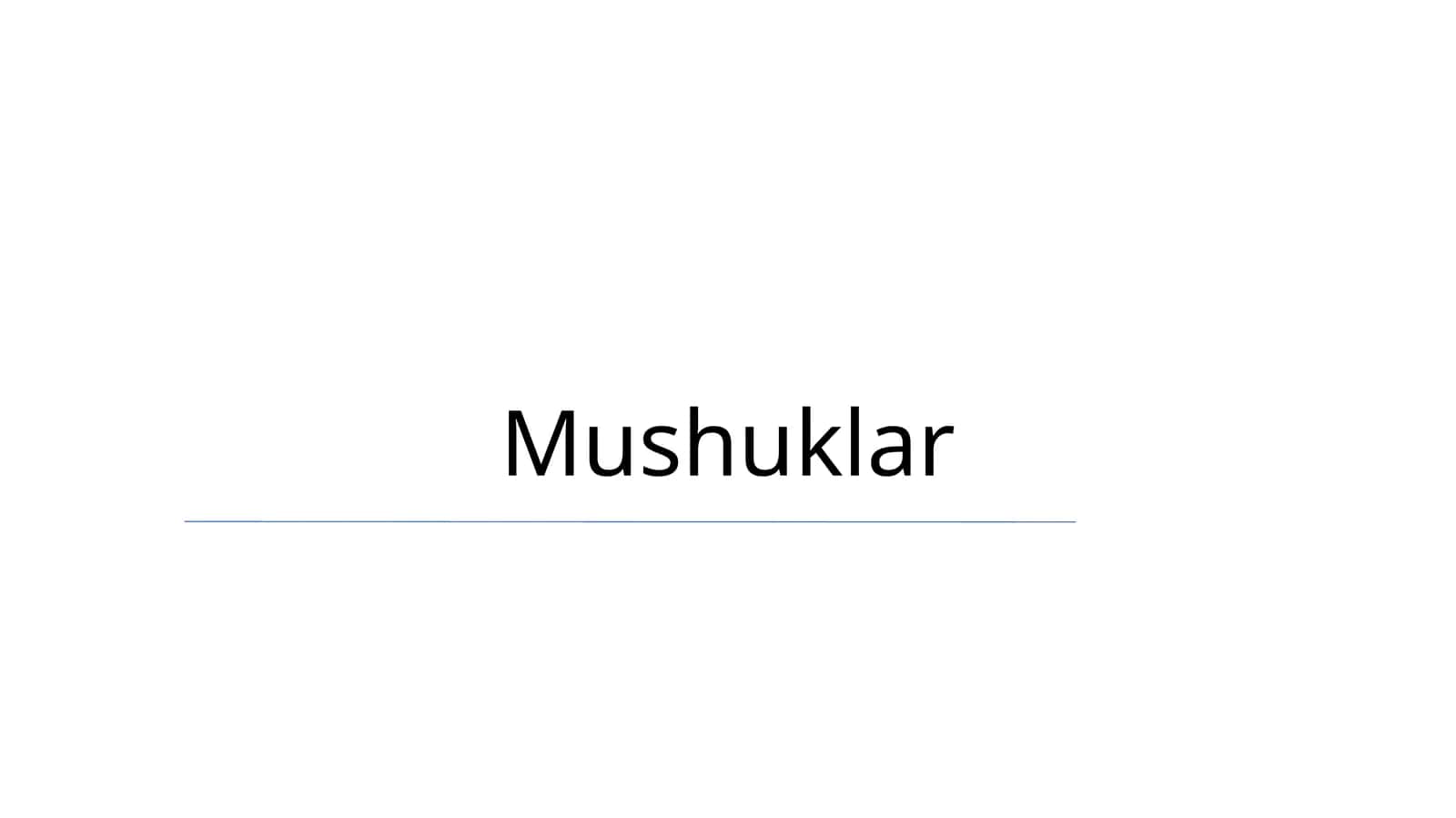 Mushuklar