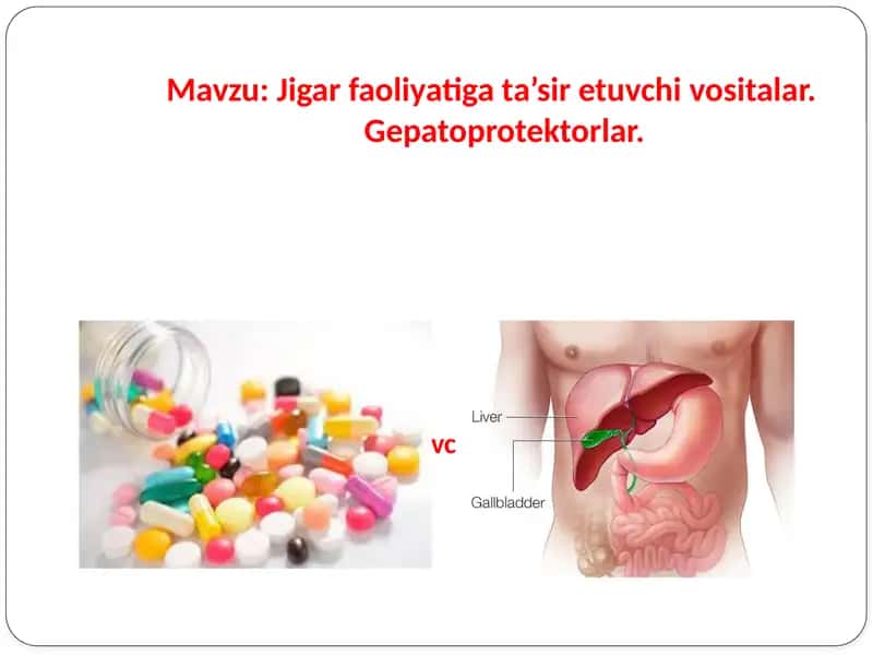 Jigar faoliyatiga ta’sir etuvchi vositalar. Gepatoprotektorlar