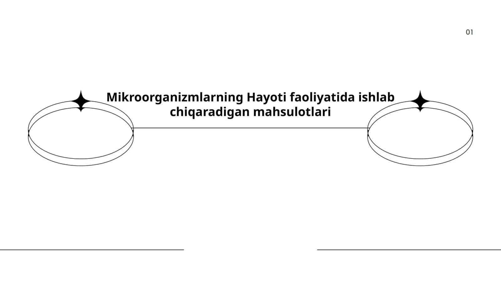 Mikroorganizmlarning Hayoti faoliyatida ishlab chiqaradigan mahsulotlari