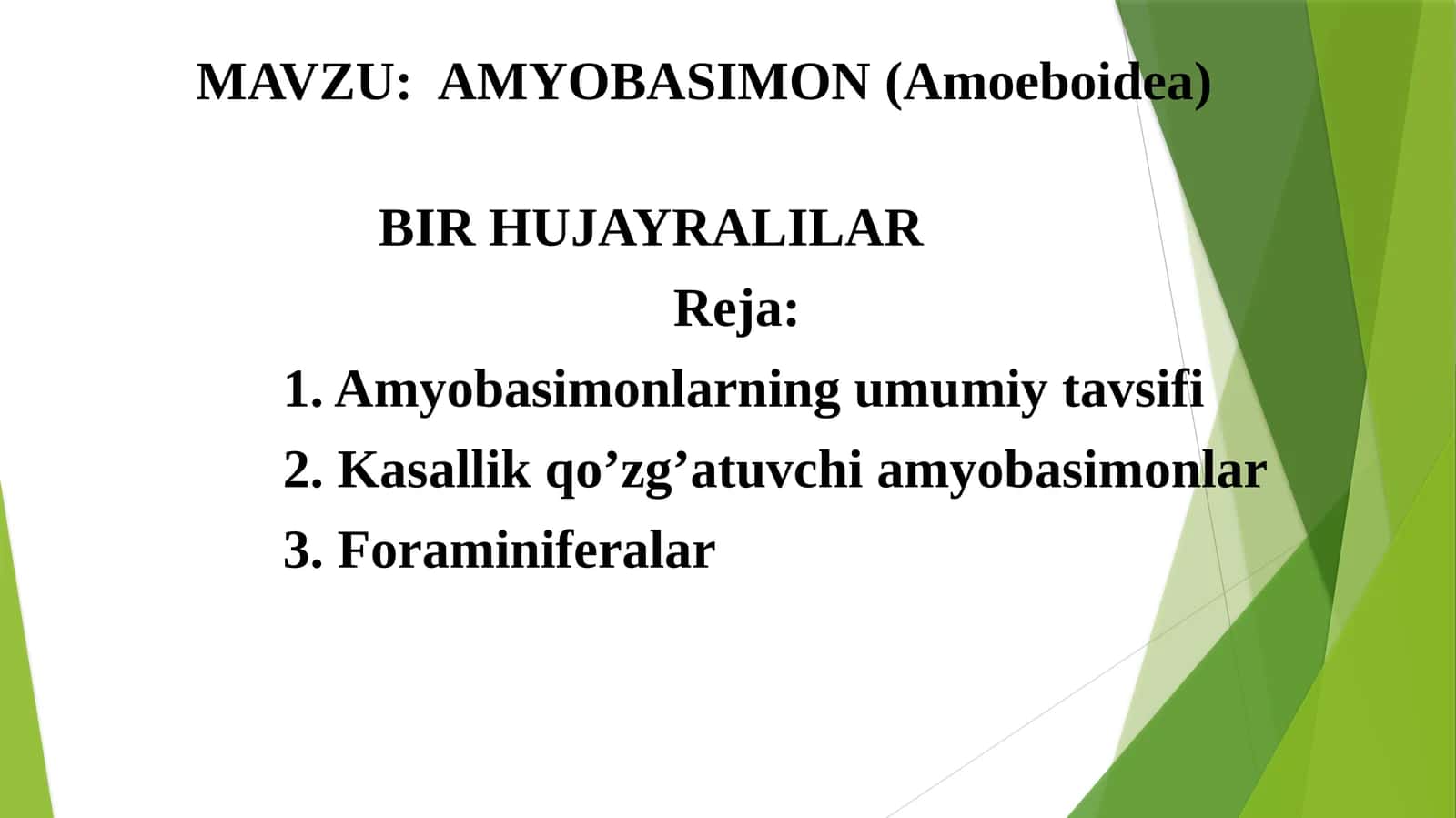 AMYOBASIMON(Amoeboidea)