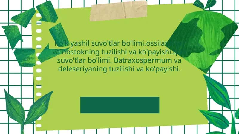 Ko'k yashil suvo'tlar bo'limi