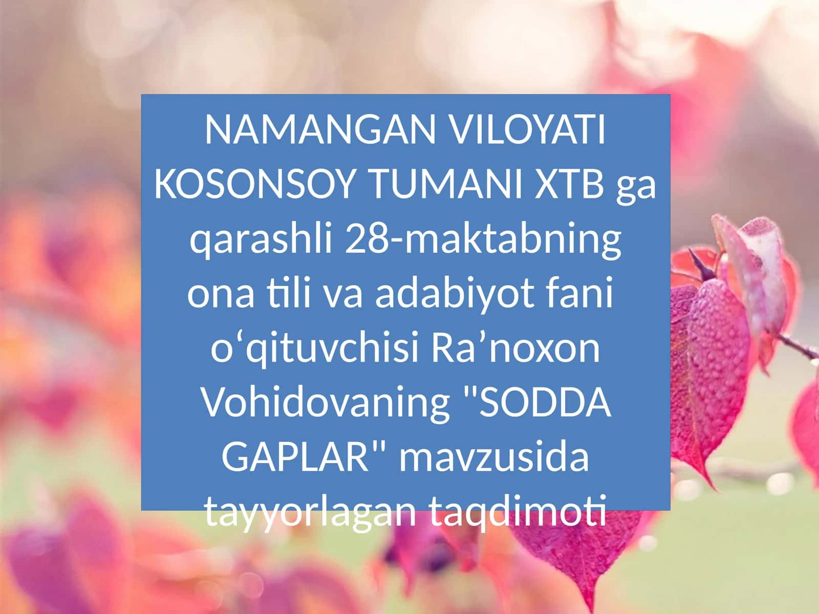 SODDA GAPLAR