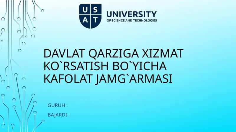 Davlatqarzigaxizmatko`rsatishbo`yichakafolatjamg`armasi