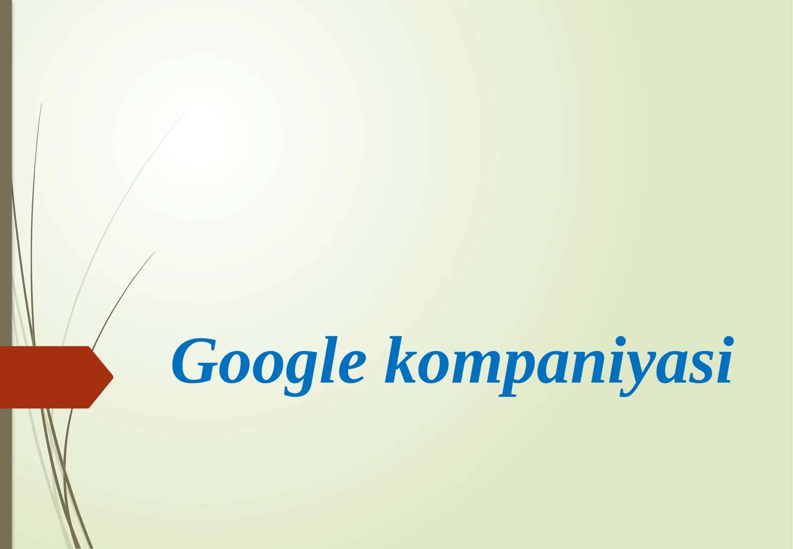 Google kompaniyasi