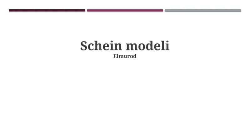 Schein modeli
