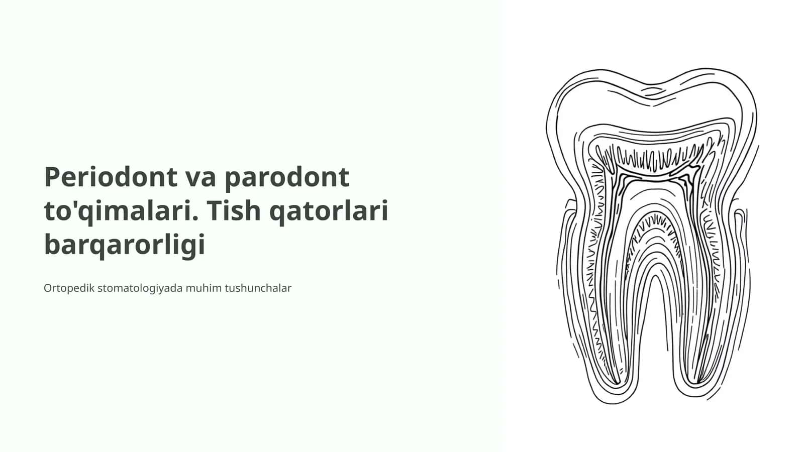 Periodont va parodont to'qimalari. Tish qatorlari barqarorligi