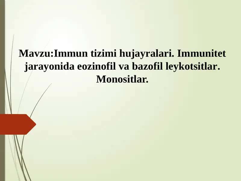 Immun tizimi hujayralari. Immunitet jarayonida eozinofil va bazofil leykotsitlar. Monositlar.