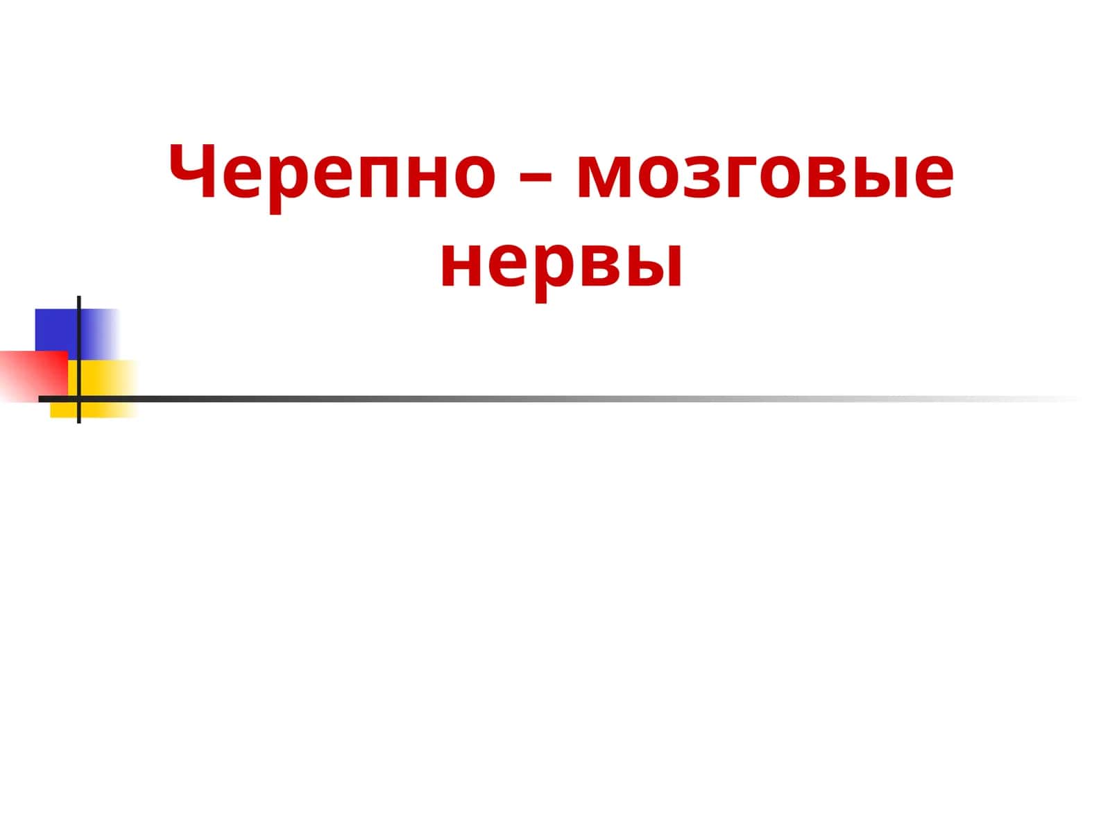 Черепно – мозговые нервы