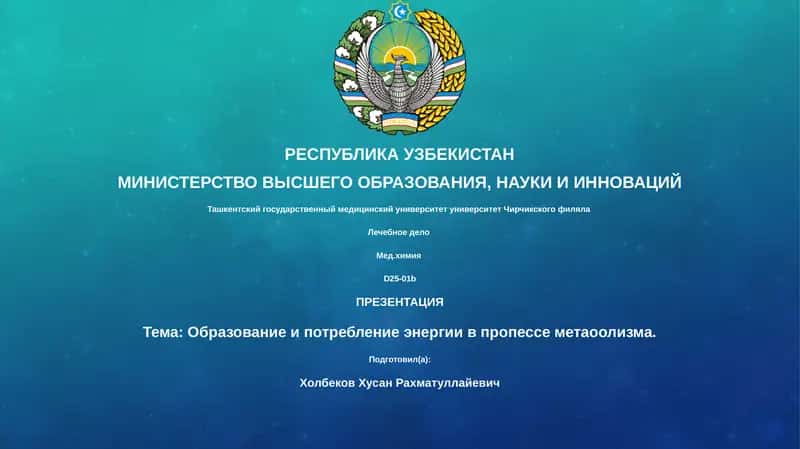 Лечебное дело