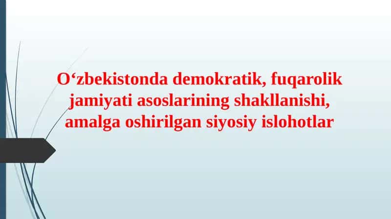 Oʻzbekistonda demokratik, fuqarolik jamiyati asoslarining shakllanishi, amalga oshirilgan siyosiy islohotlar
