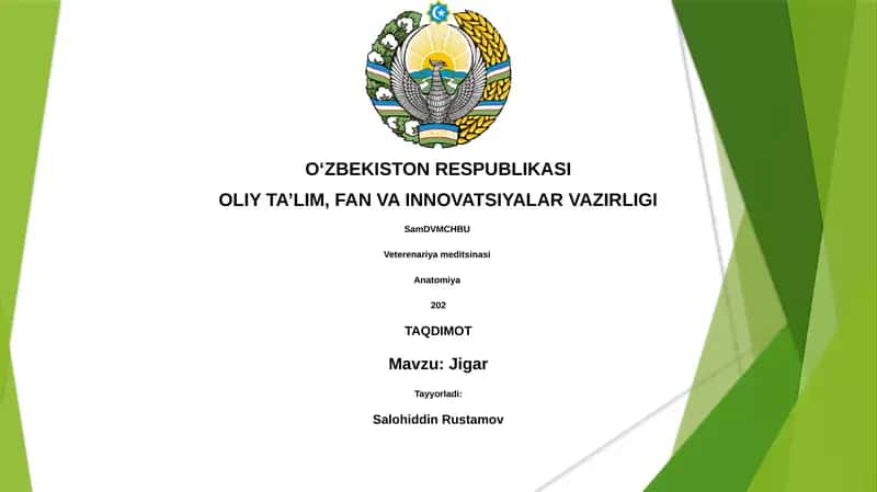 Veterinariya Meditsinasi - Jigar