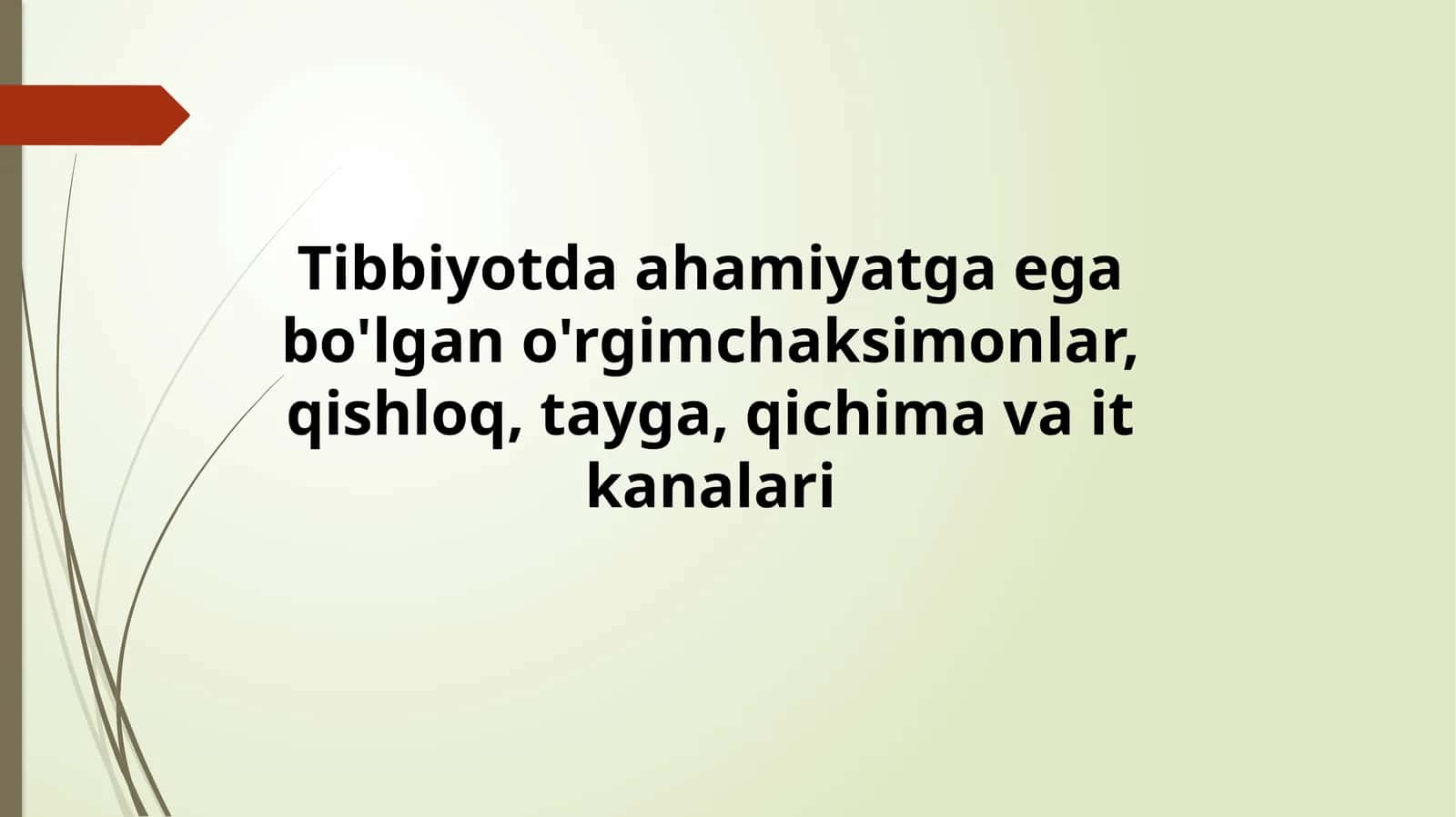 Tibbiyotda ahamiyatga ega bo'lgan o'rgimchaksimonlar, qishloq, tayga, qichima va it kanalari
