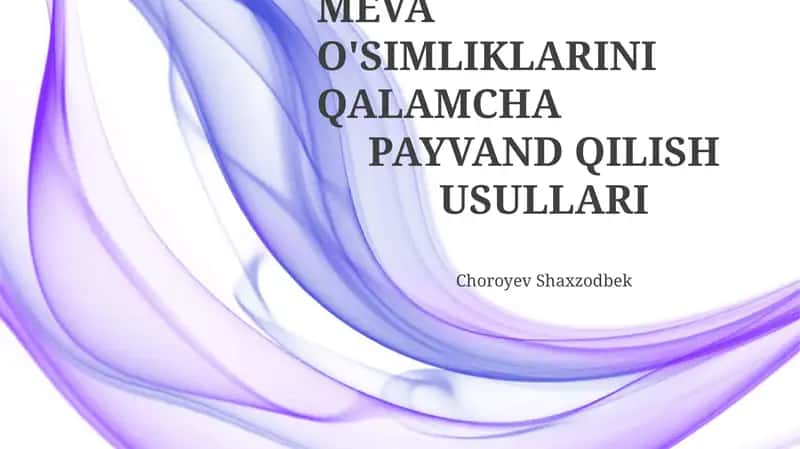 MEVA O'SIMLIKLARINI QALAMCHA PAYVAND QILISH USULLARI