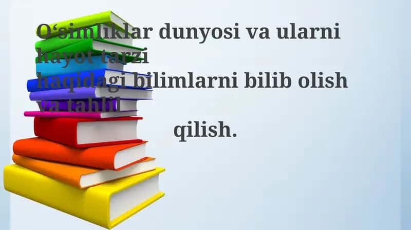 O‘simliklar Dunyosi