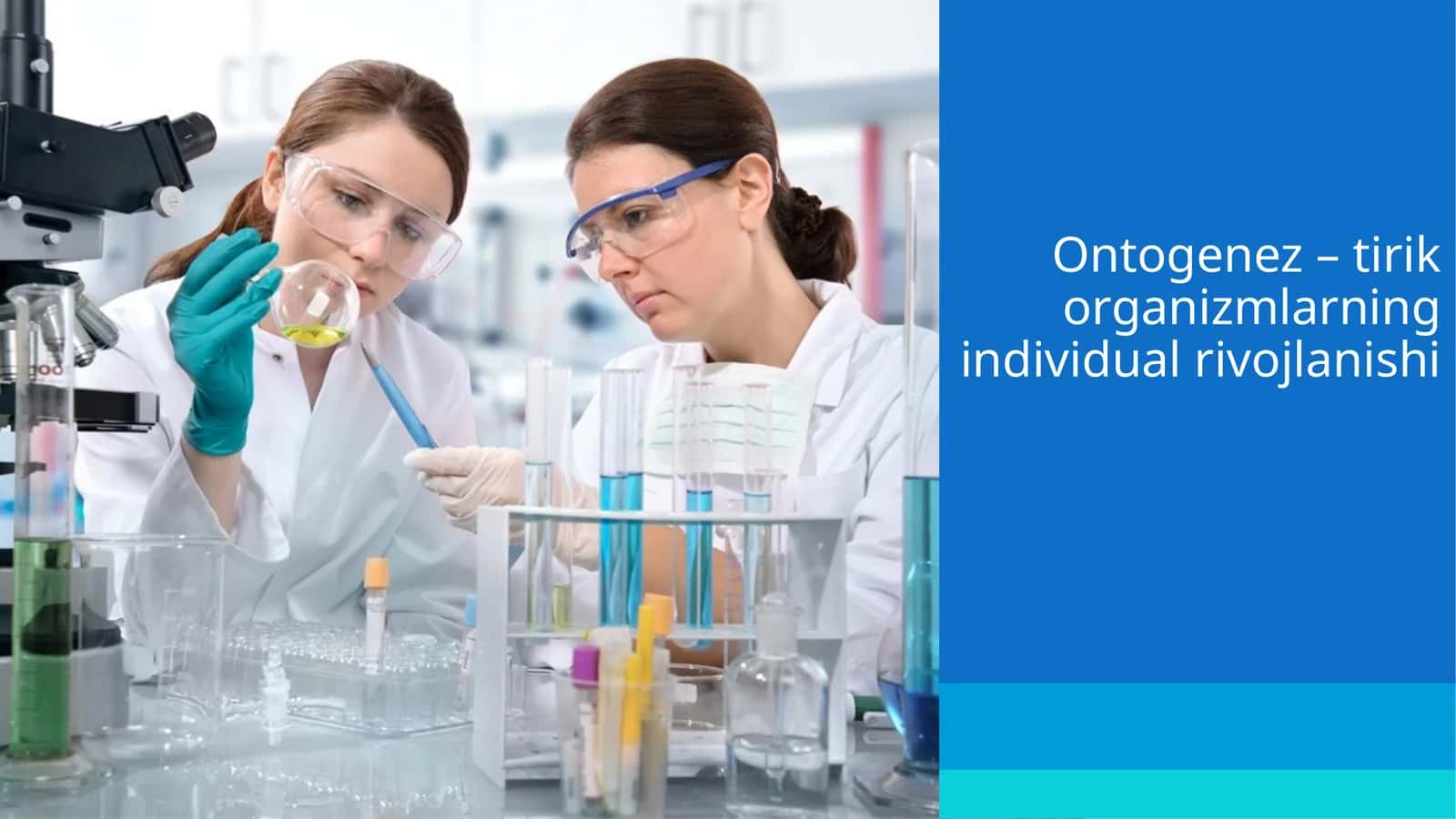 Ontogenez–tirikorganizmlarningindividualrivojlanishi