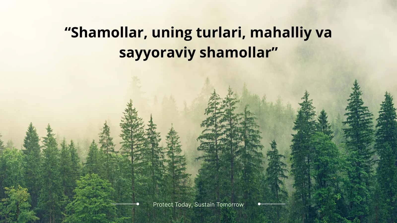 Shamollar, uning turlari, mahalliy va sayyoraviy shamollar