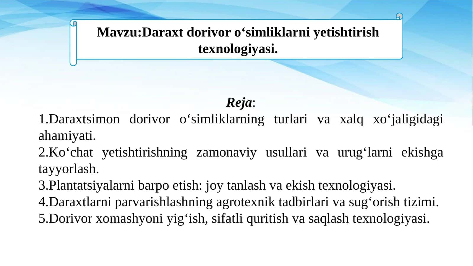 Daraxt dorivor oʻsimliklarni yetishtirish texnologiyasi.