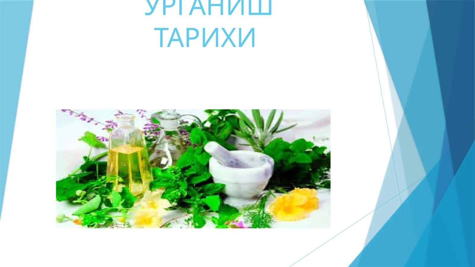 Доривор ўсимликларни ўрганиш тарихи