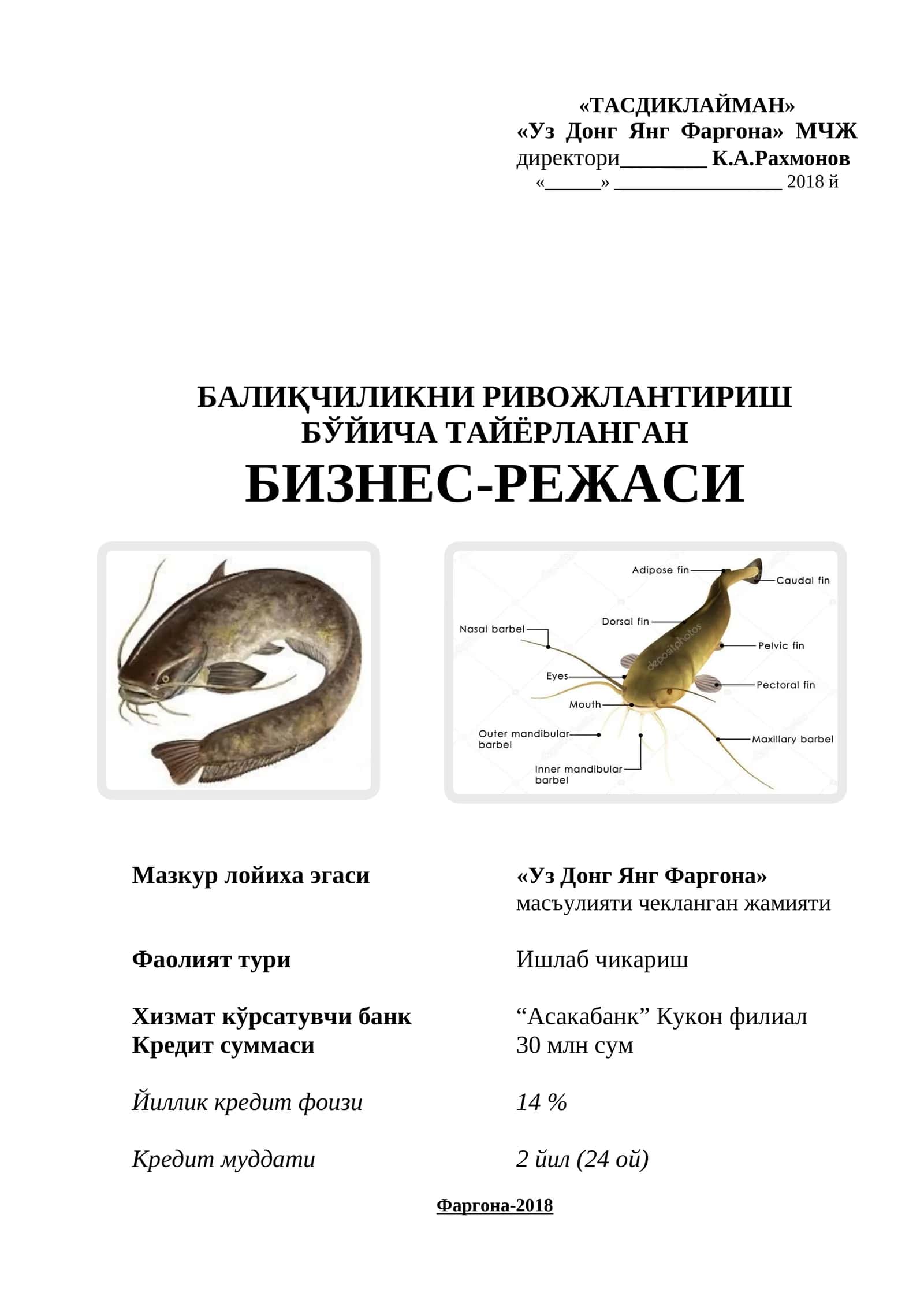 Baliqchilik biznes reja