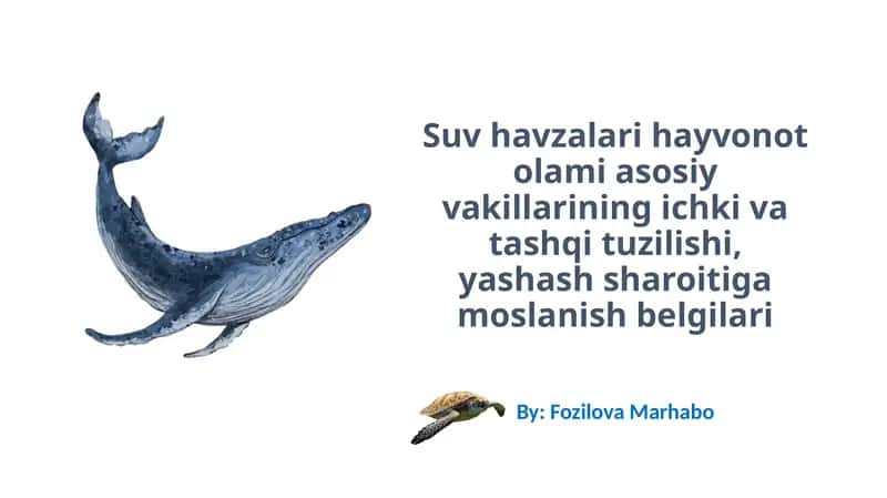 Suv Ekotizimning Tavsifi
